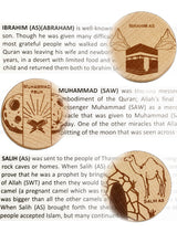 Load image into Gallery viewer, Story Magnets - Prophets named in the Quran